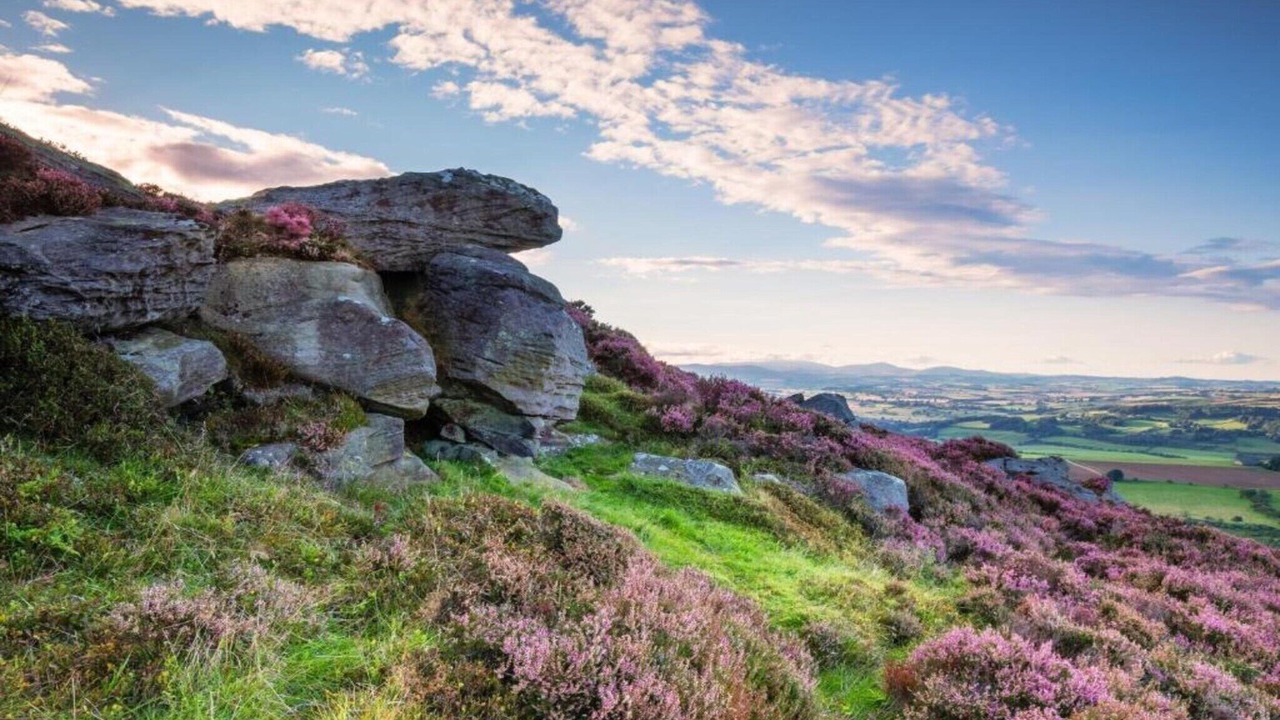 Photo of Others in Langley-on-Tyne