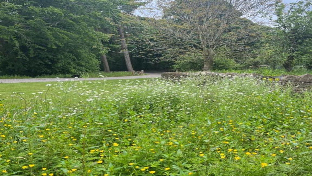 Photo of Others in Langley-on-Tyne