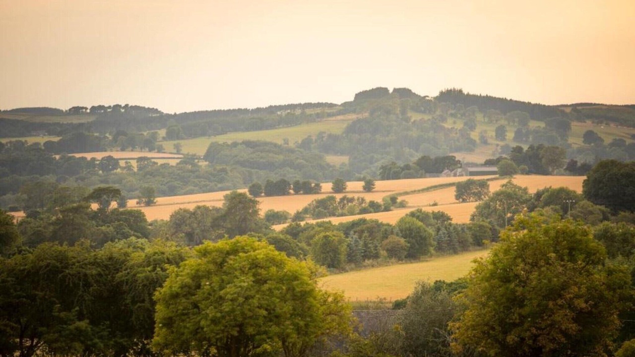 Photo of Others in Langley-on-Tyne