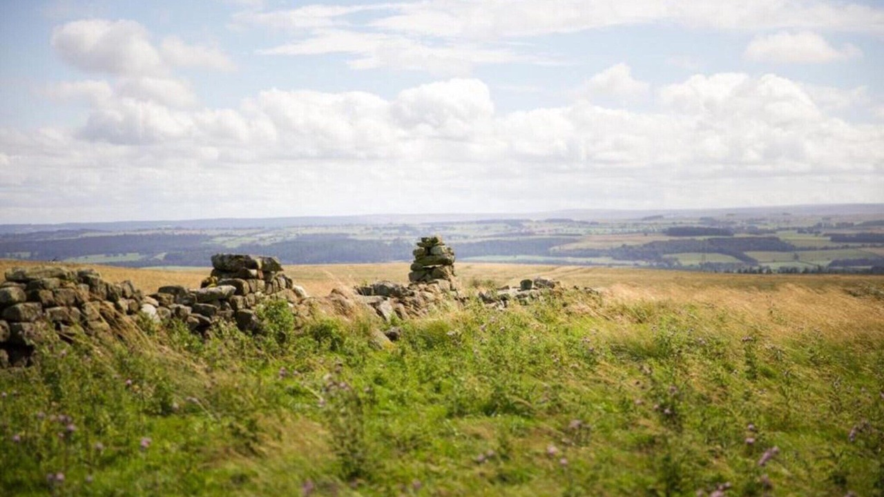 Photo of Others in Langley-on-Tyne