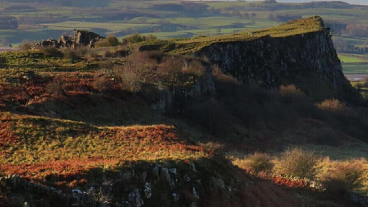 Photo of Others in Langley-on-Tyne