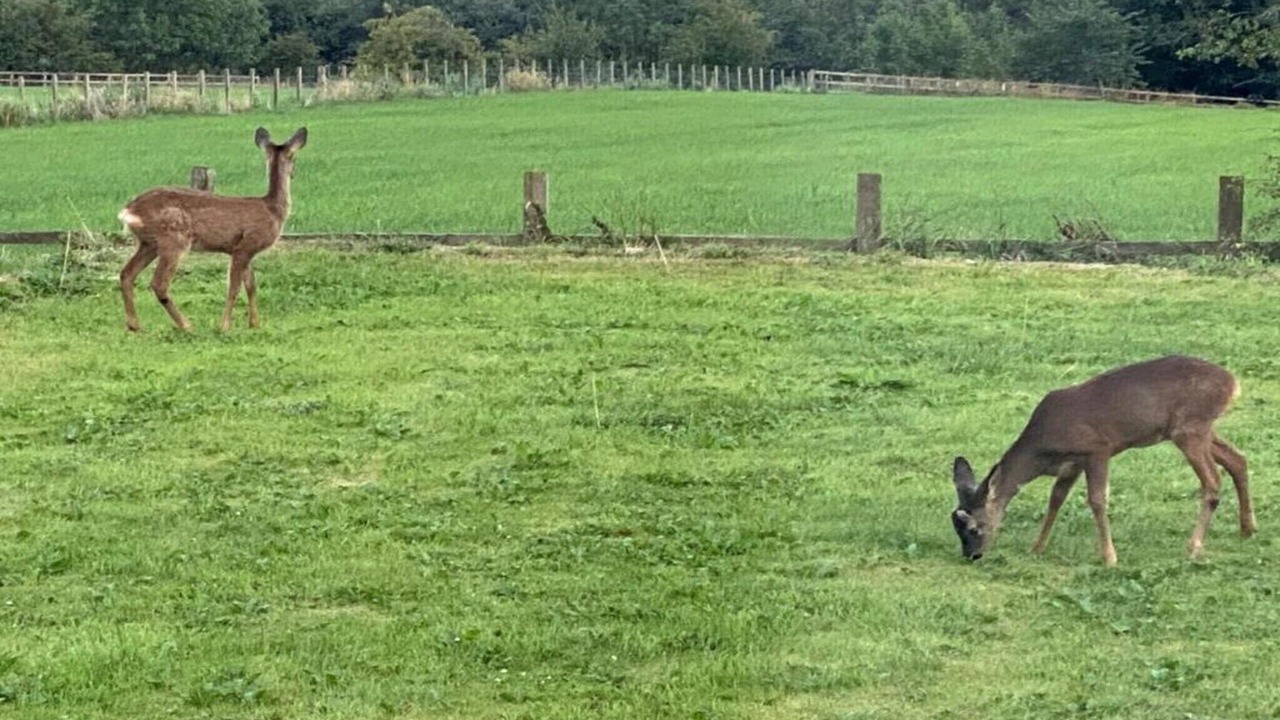 Photo of Others in Langley-on-Tyne