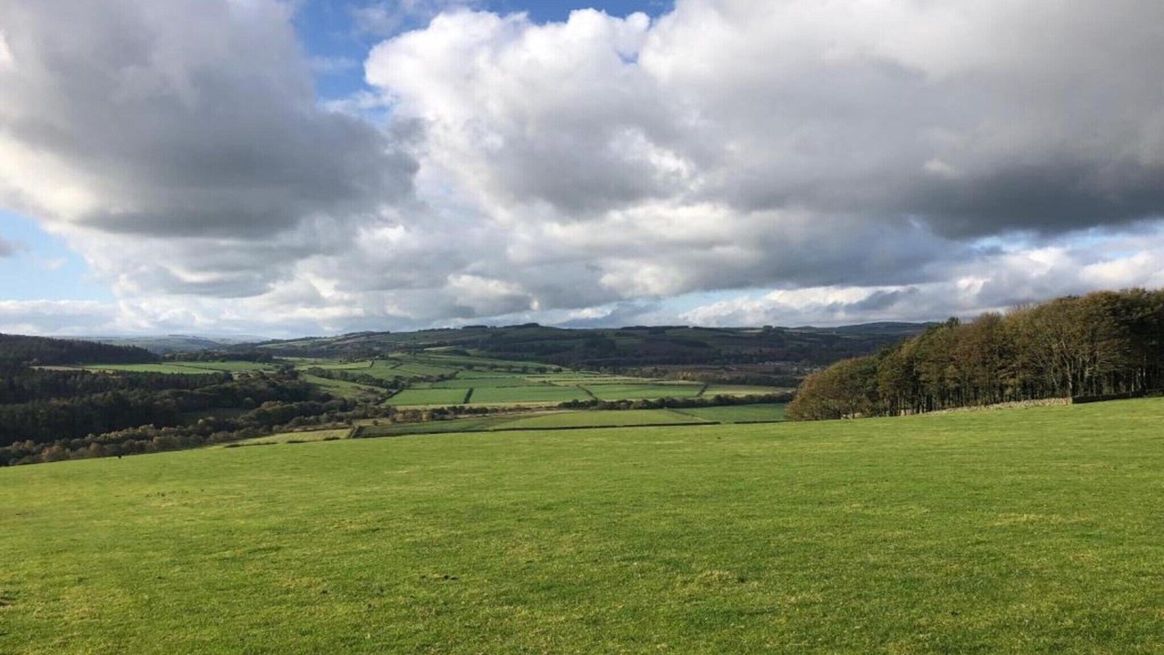 Photo of Others in Langley-on-Tyne