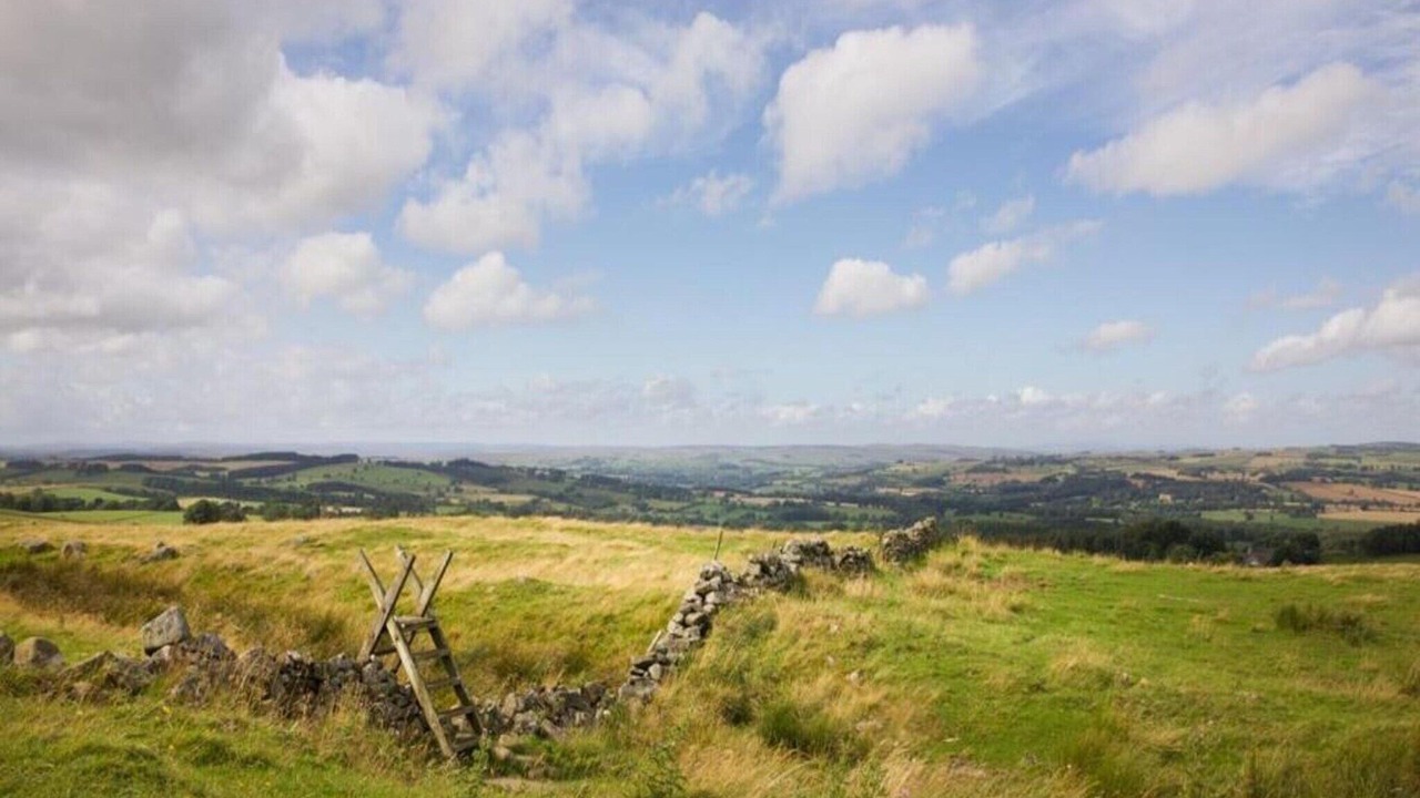 Photo of Others in Langley-on-Tyne