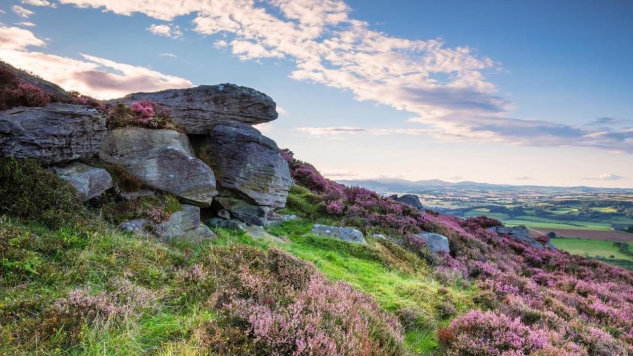 Photo of Others in Langley-on-Tyne