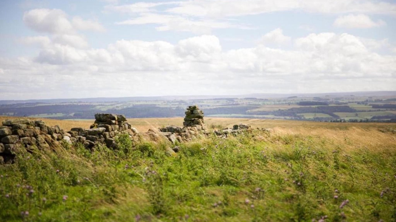 Photo of Others in Langley-on-Tyne