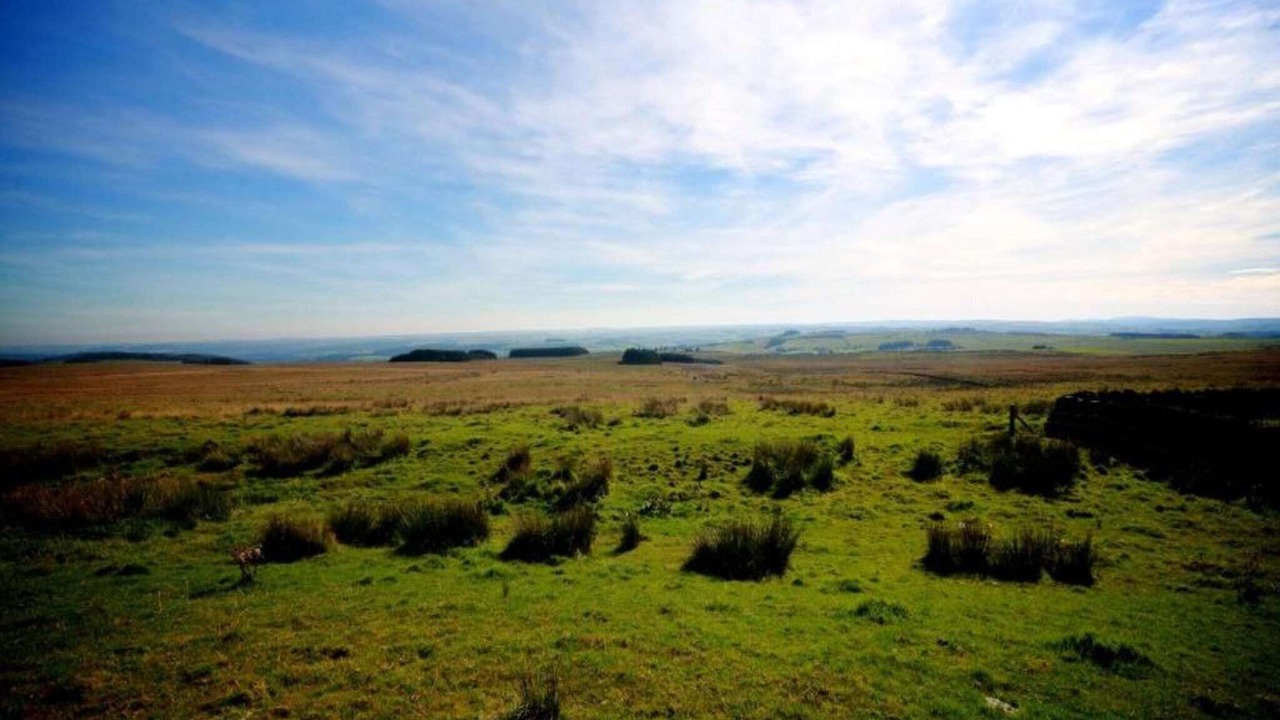 Photo of Others in Langley-on-Tyne