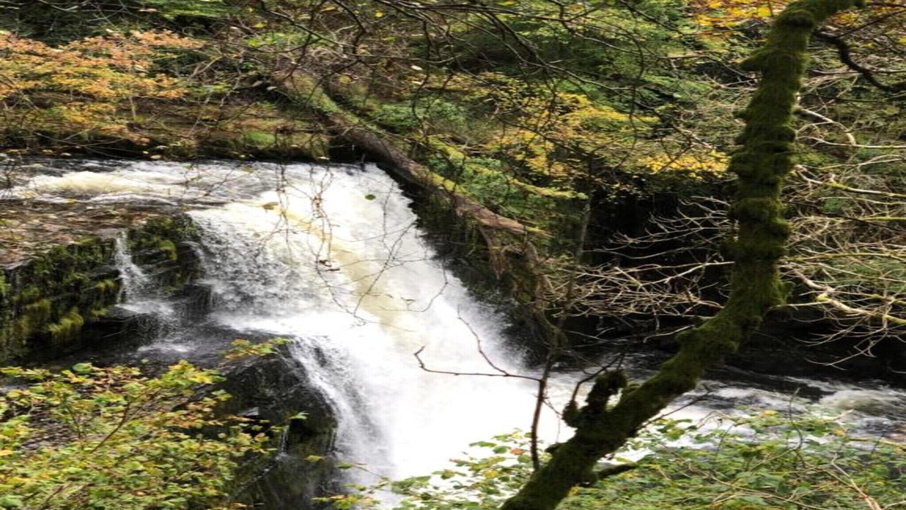 Photo of Others in Brecon