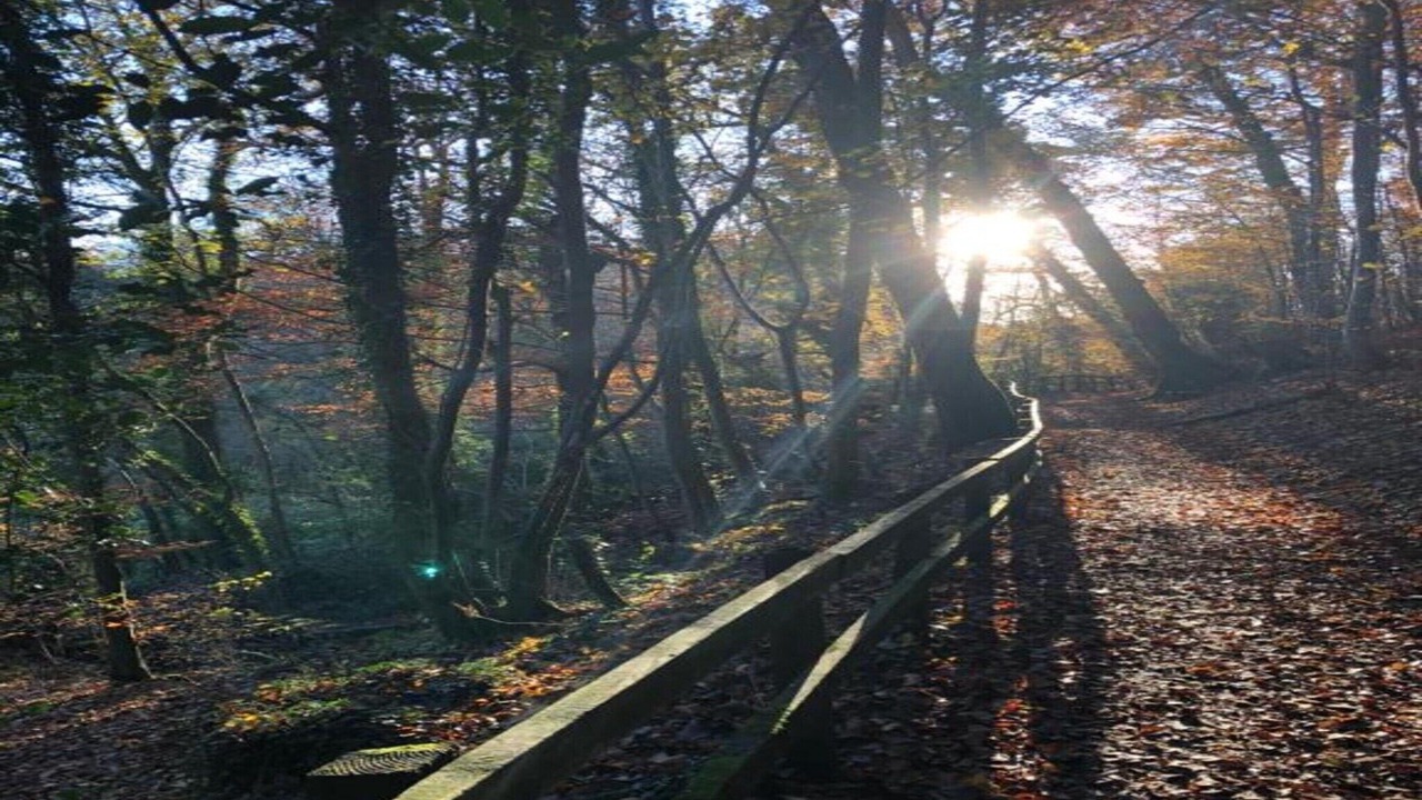 Photo of Others in Brecon