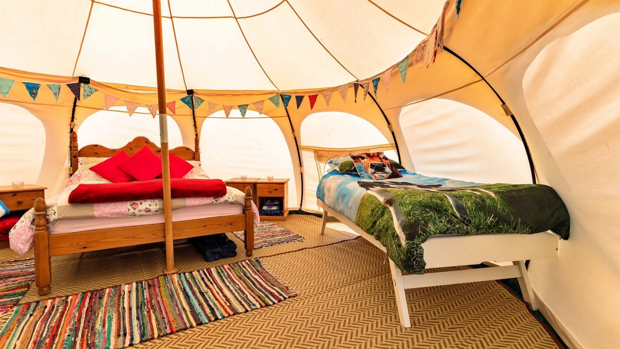 Photo of Others in Ilfracombe