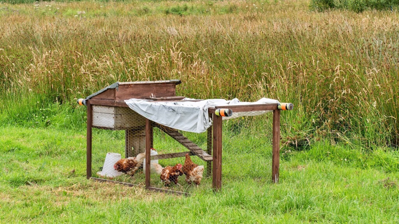 Photo of Outdoor in Ilfracombe