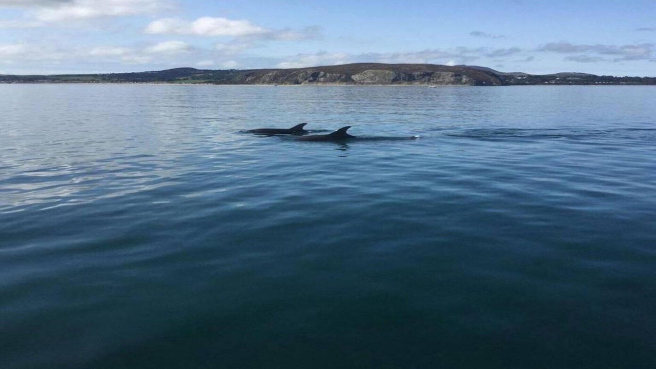 Photo of Others in Rhyd-y-clafdy