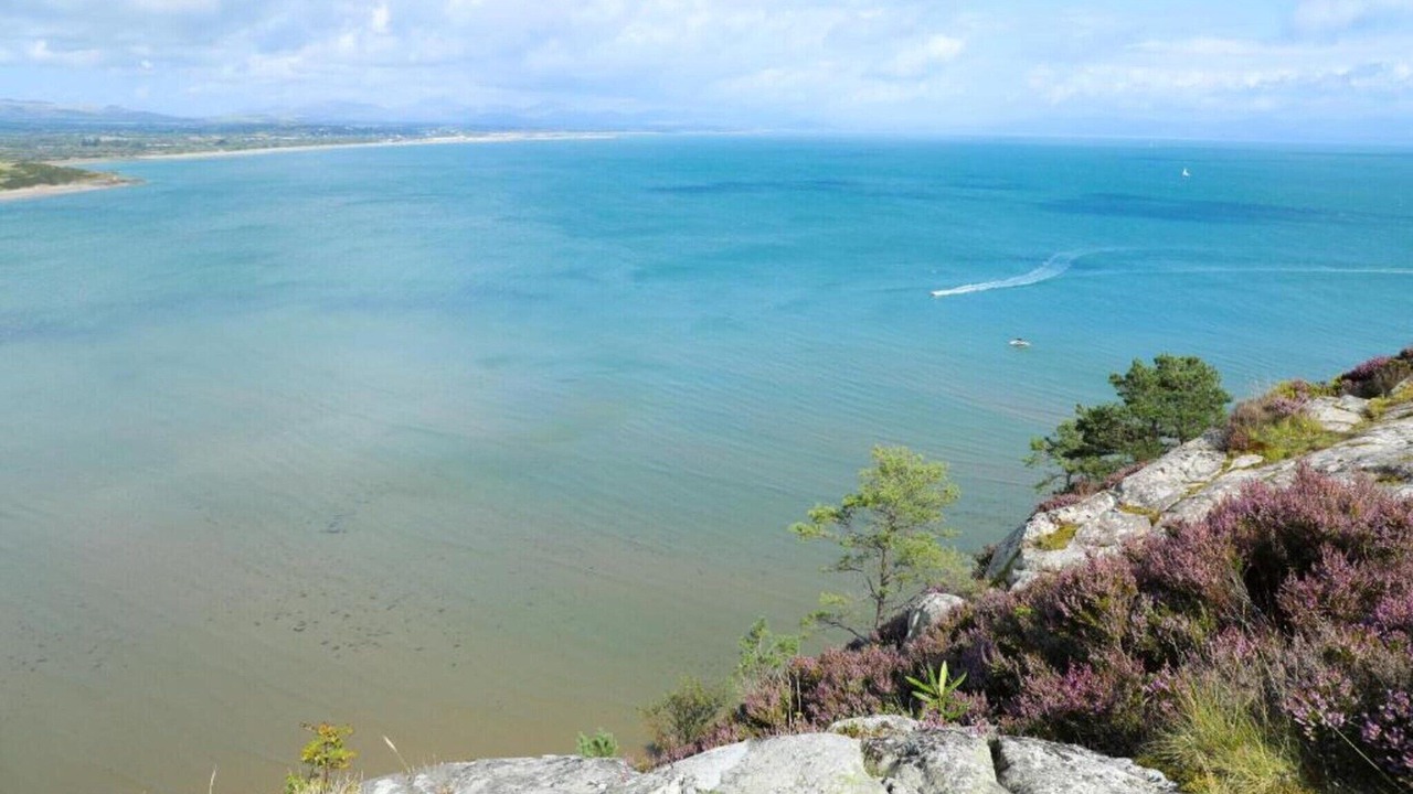 Photo of Others in Rhyd-y-clafdy