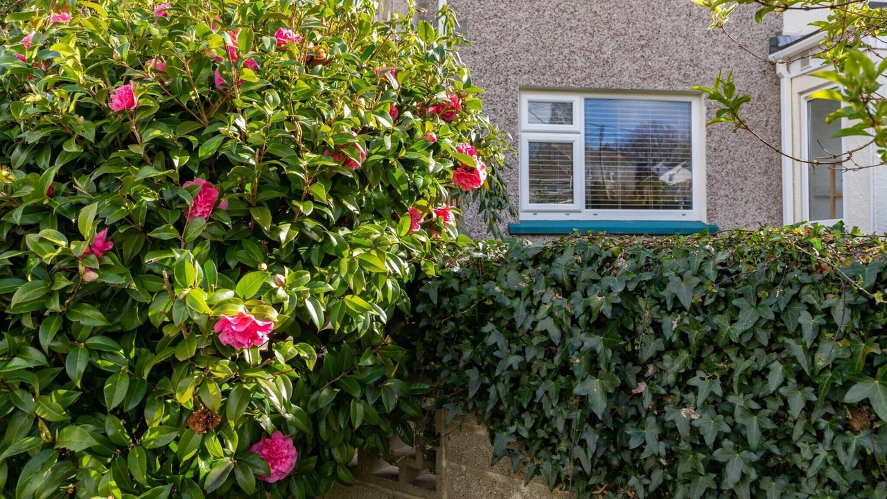 Photo of Outdoor in Polgooth