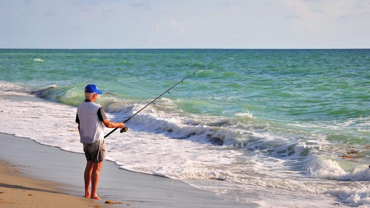 Photo of Others in Crescent Beach
