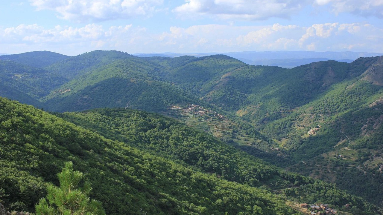 Photo of Others in Malbosc