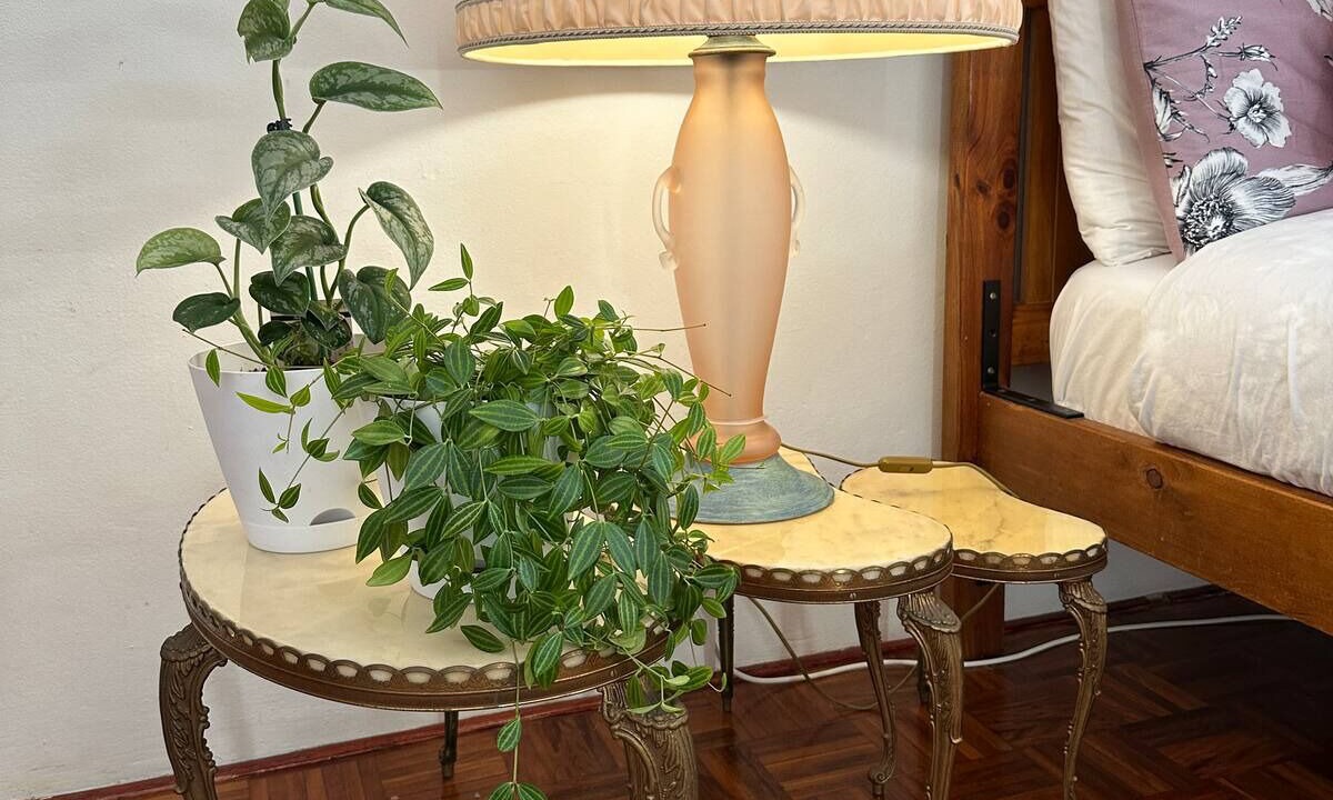 Photo of Others in Bronte