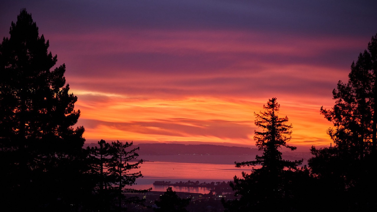 Photo of Others in Berkeley Hills