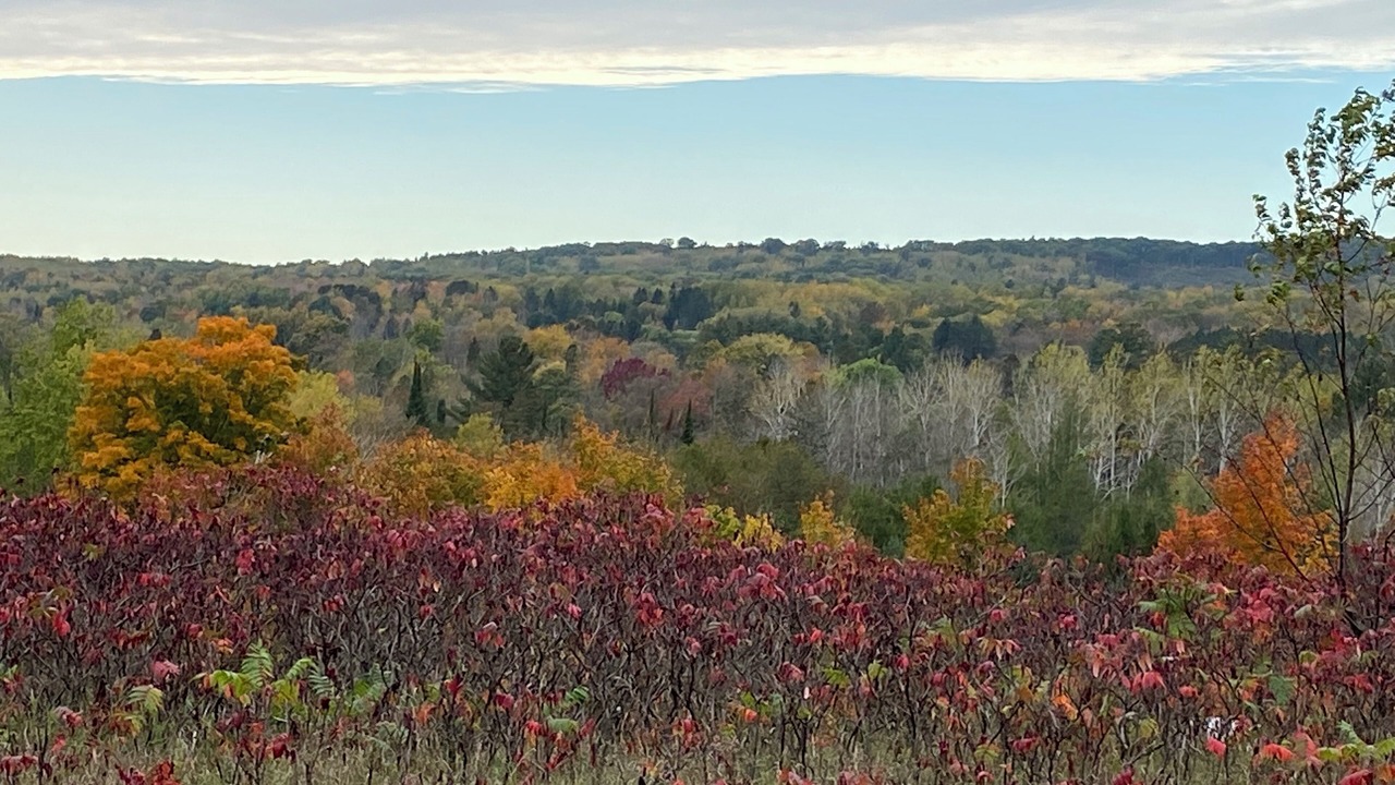 Photo of Others in Alanson