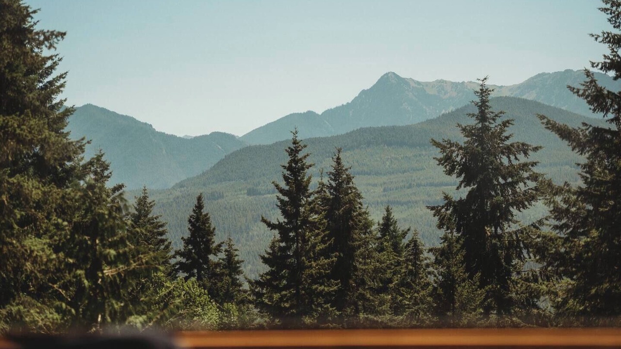 Photo of Others in Sequim