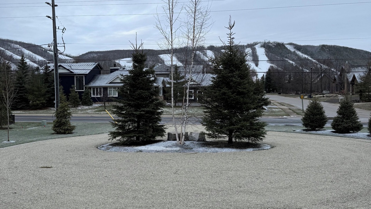 Photo of Outdoor in Collingwood