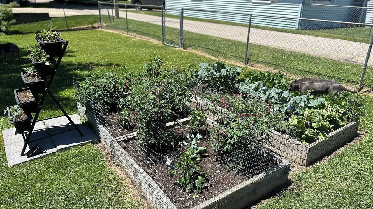 Photo of Outdoor in Dixon