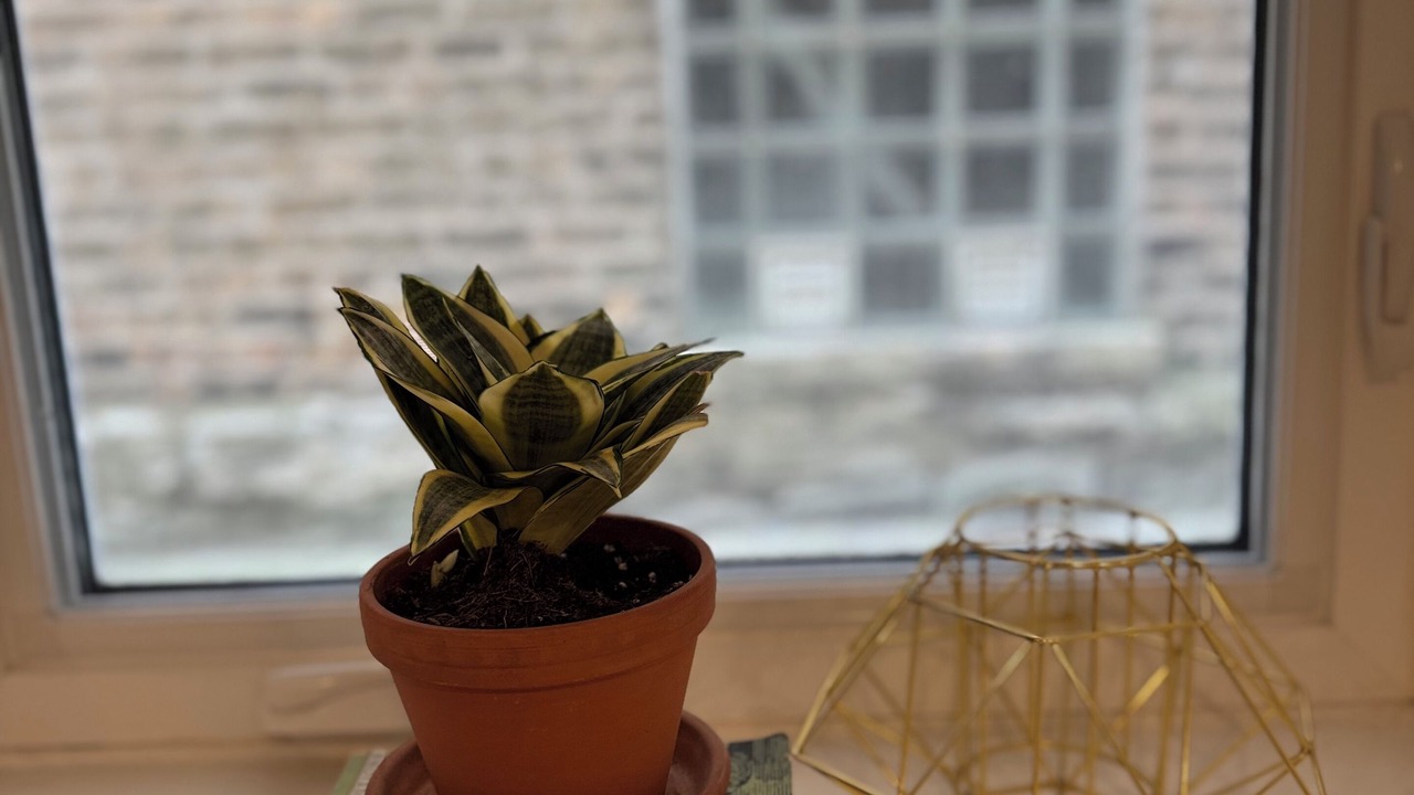 Photo of Others in Tri-Taylor