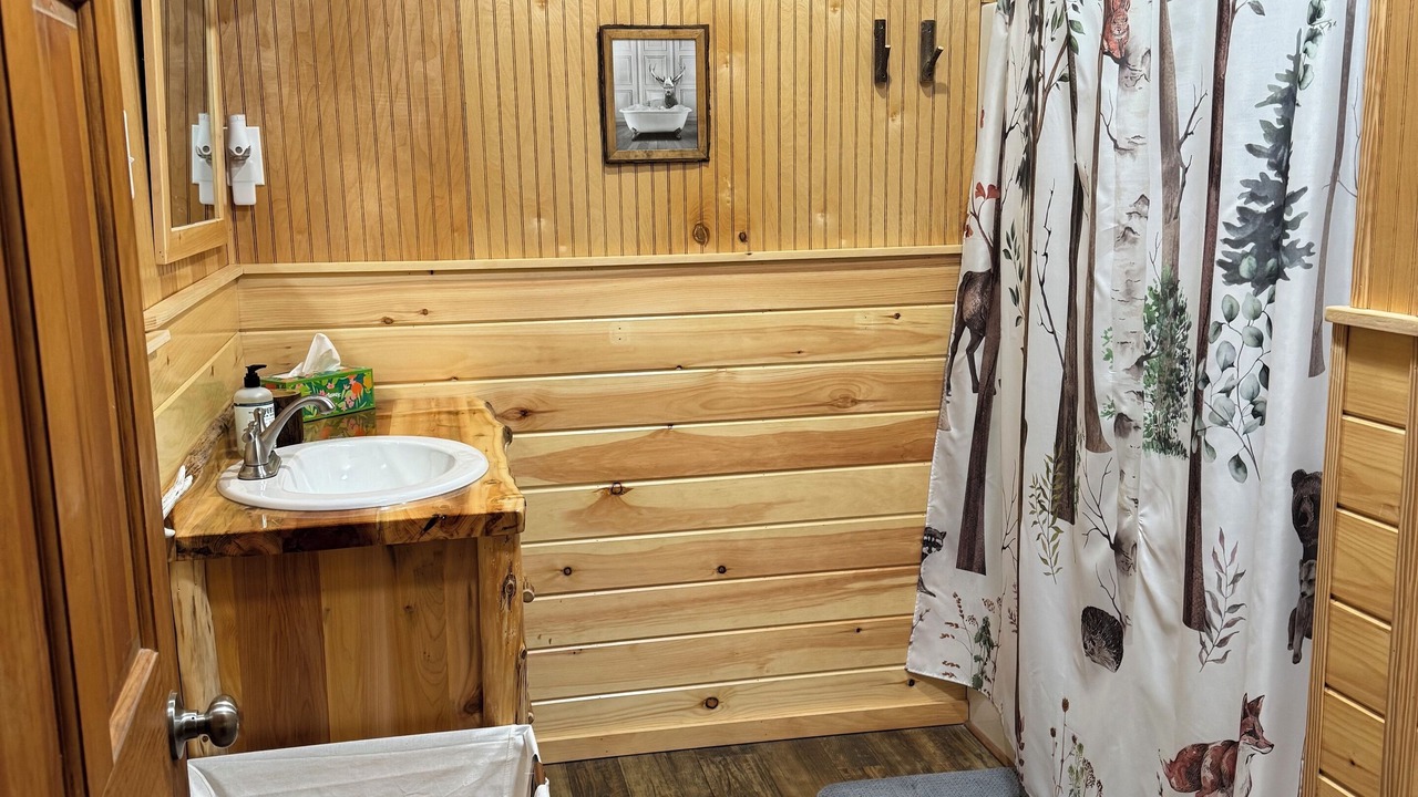 Photo of Bathroom in Town of Webb