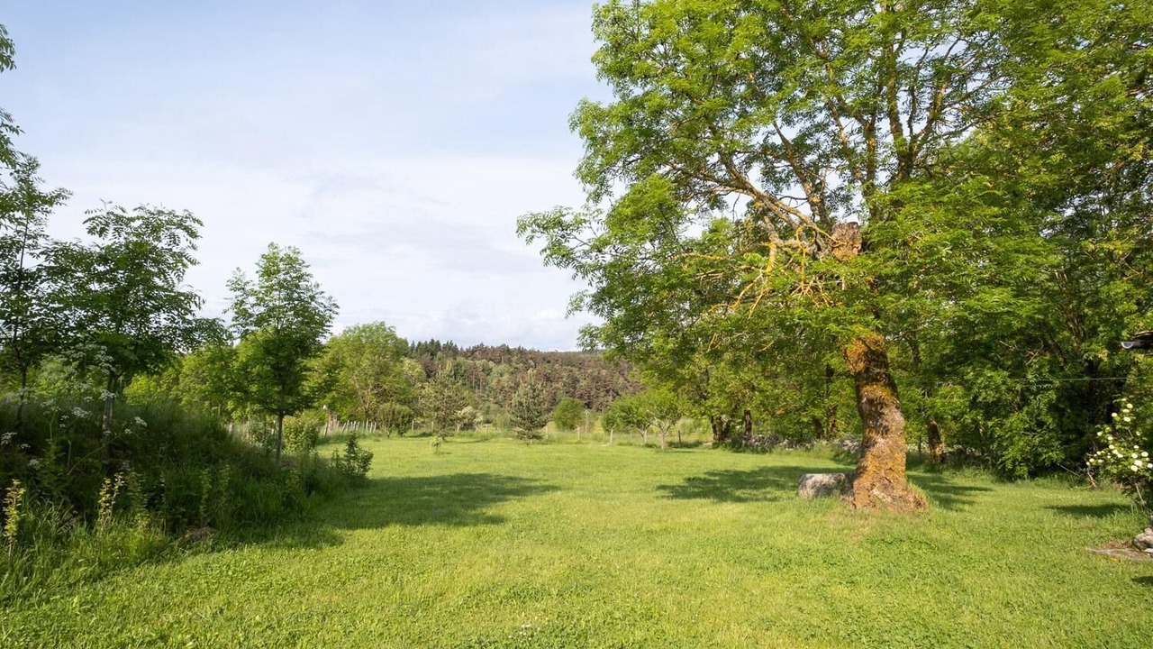 Photo of Others in Villeneuve