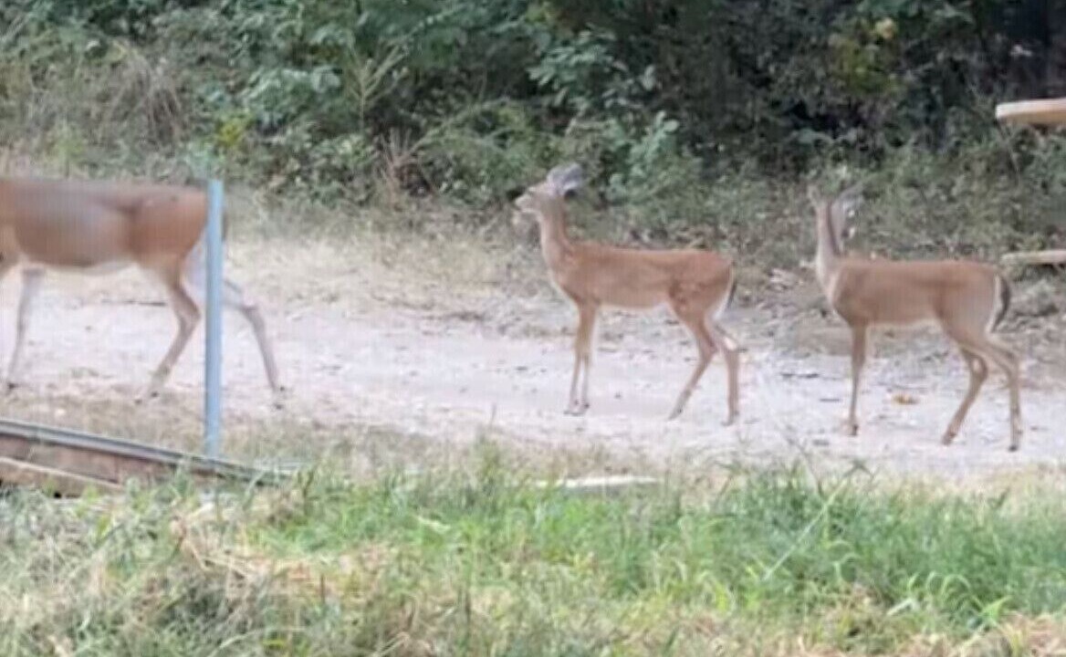 Photo of Others in Afton