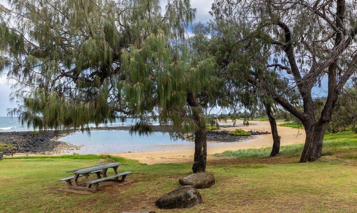 Photo of Others in Bargara