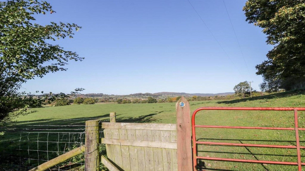 Photo of Others in Thirsk