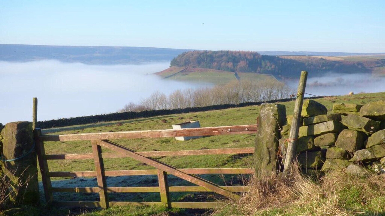 Photo of Others in Thirsk