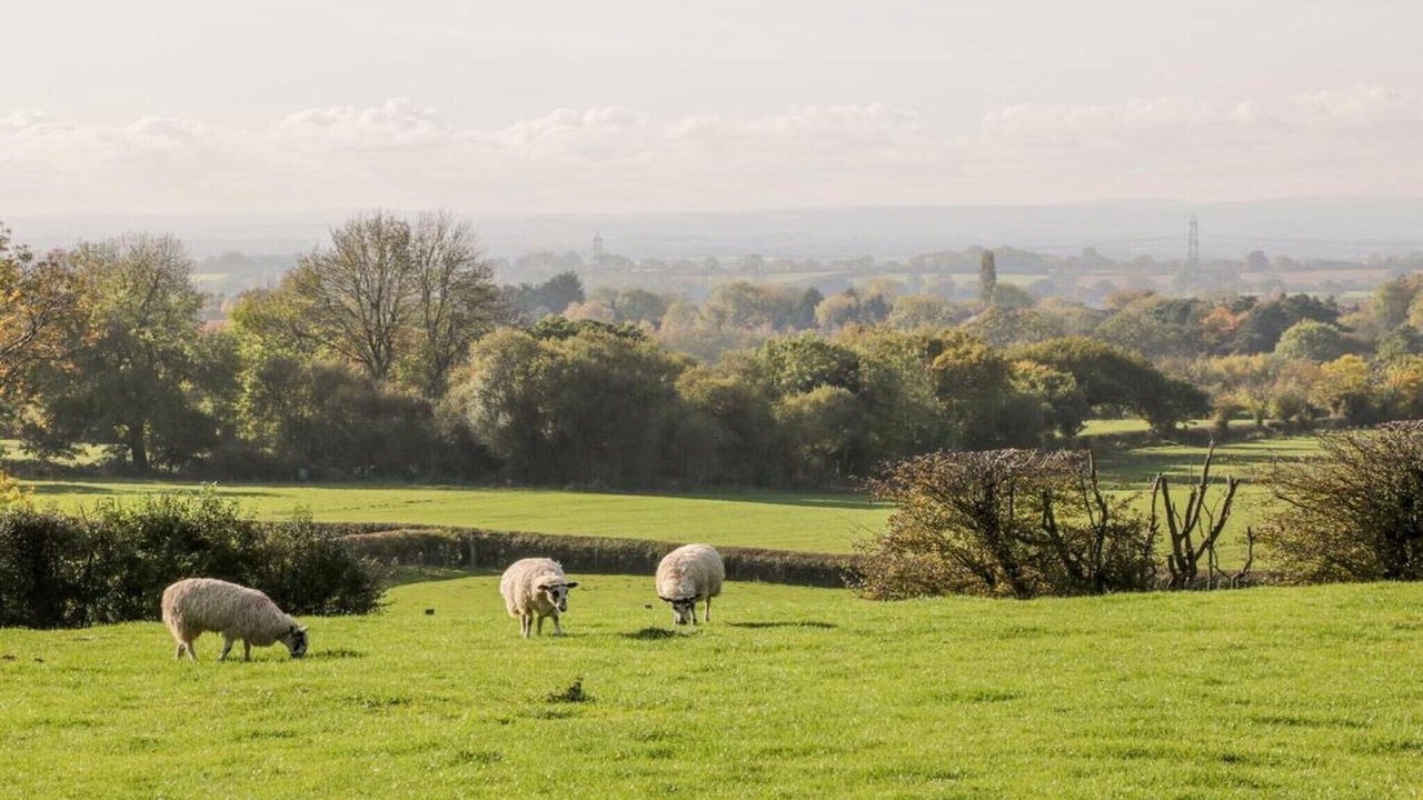 Photo of Others in Thirsk