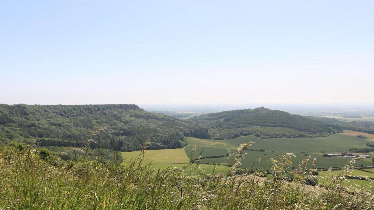 Photo of Others in Thirsk