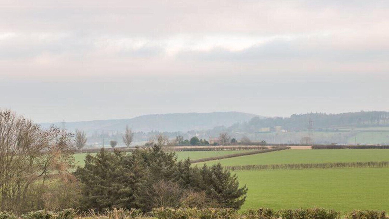 Photo of Others in Thirsk