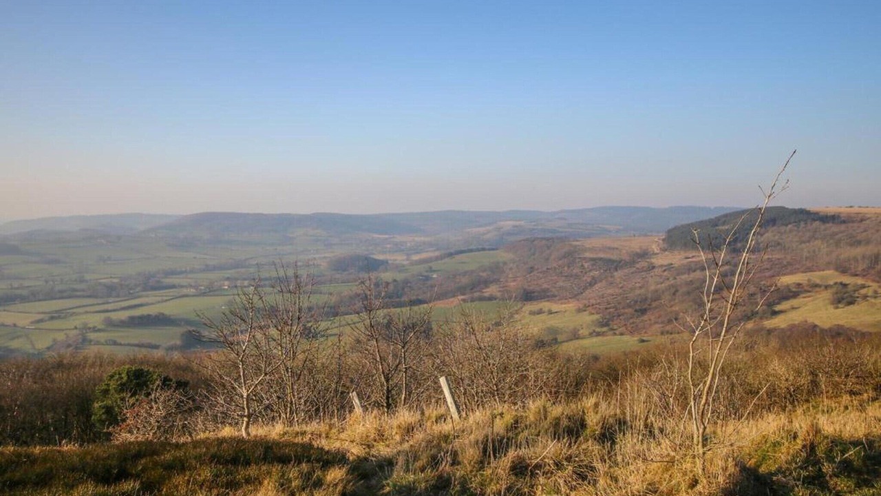 Photo of Others in Thirsk