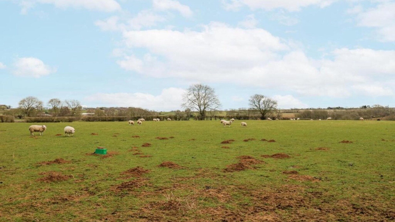 Photo of Others in Brackley