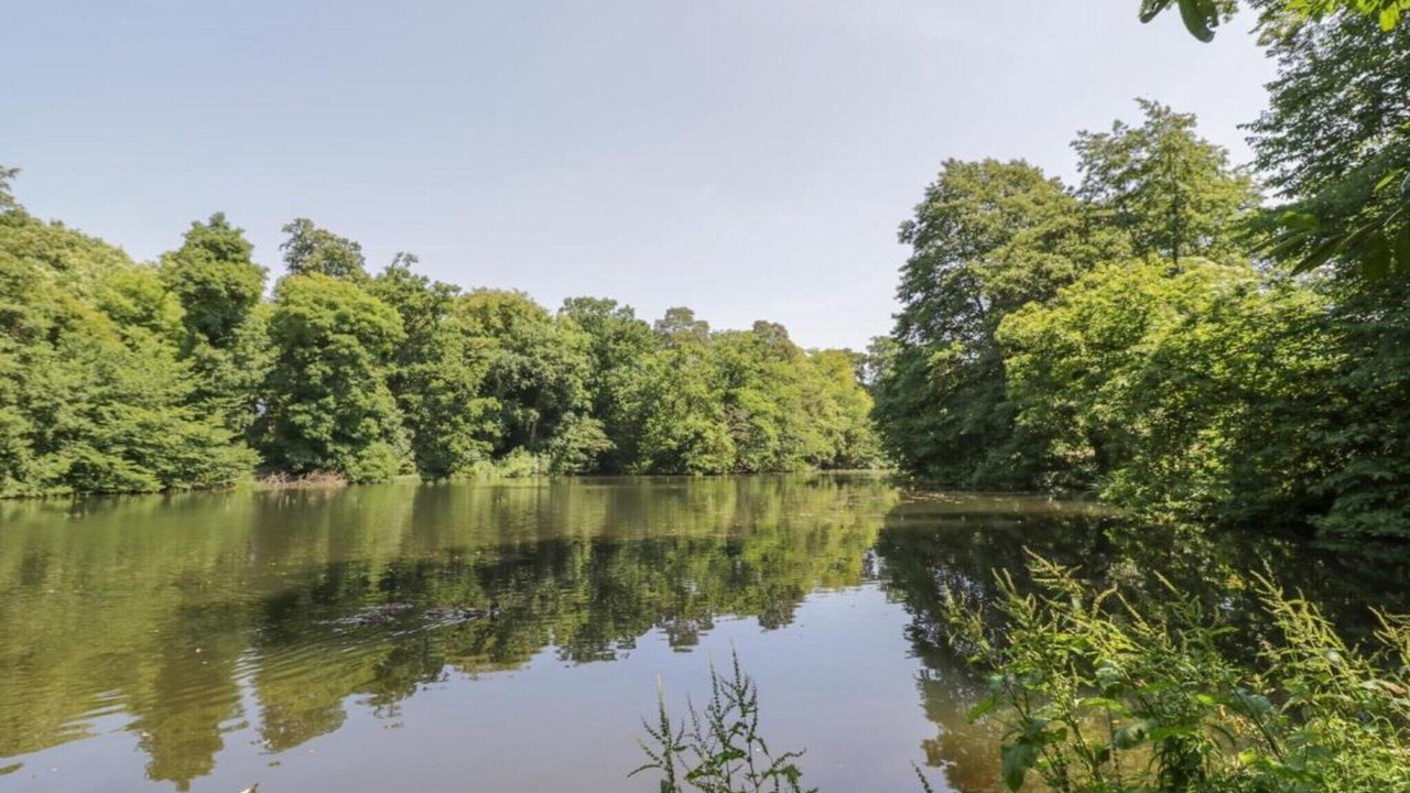 Photo of Others in Brackley