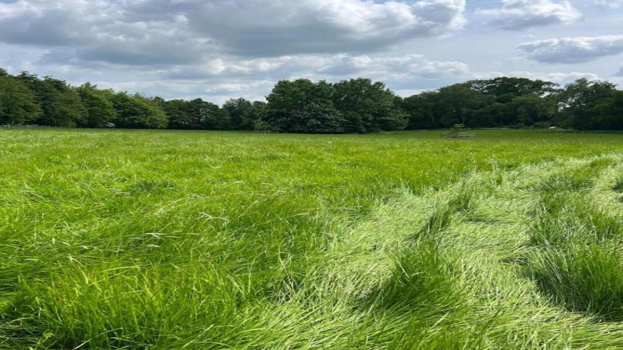 Photo of Others in Brackley