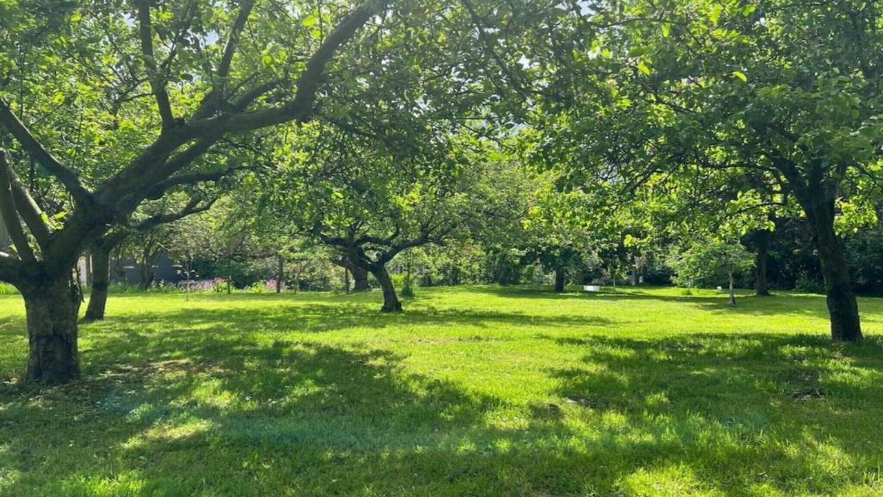 Photo of Others in Brackley