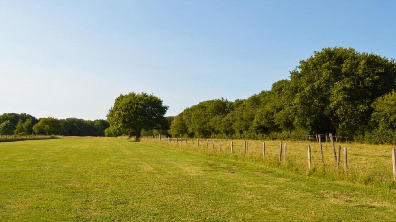 Photo of Others in Brackley