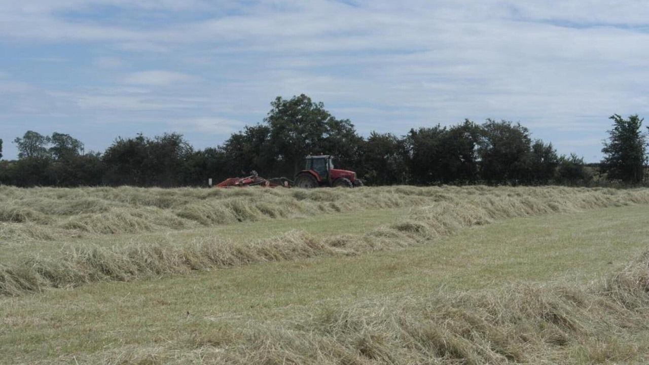 Photo of Others in Brackley