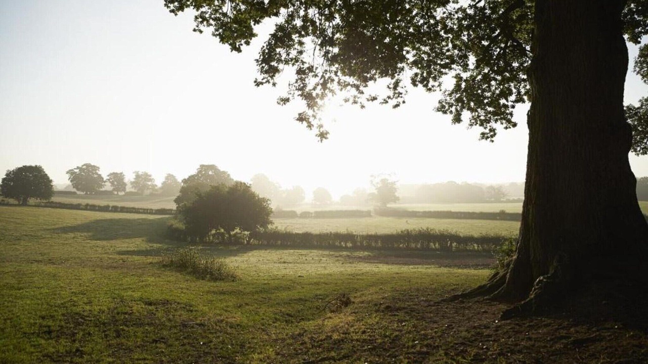 Photo of Others in Little Rissington