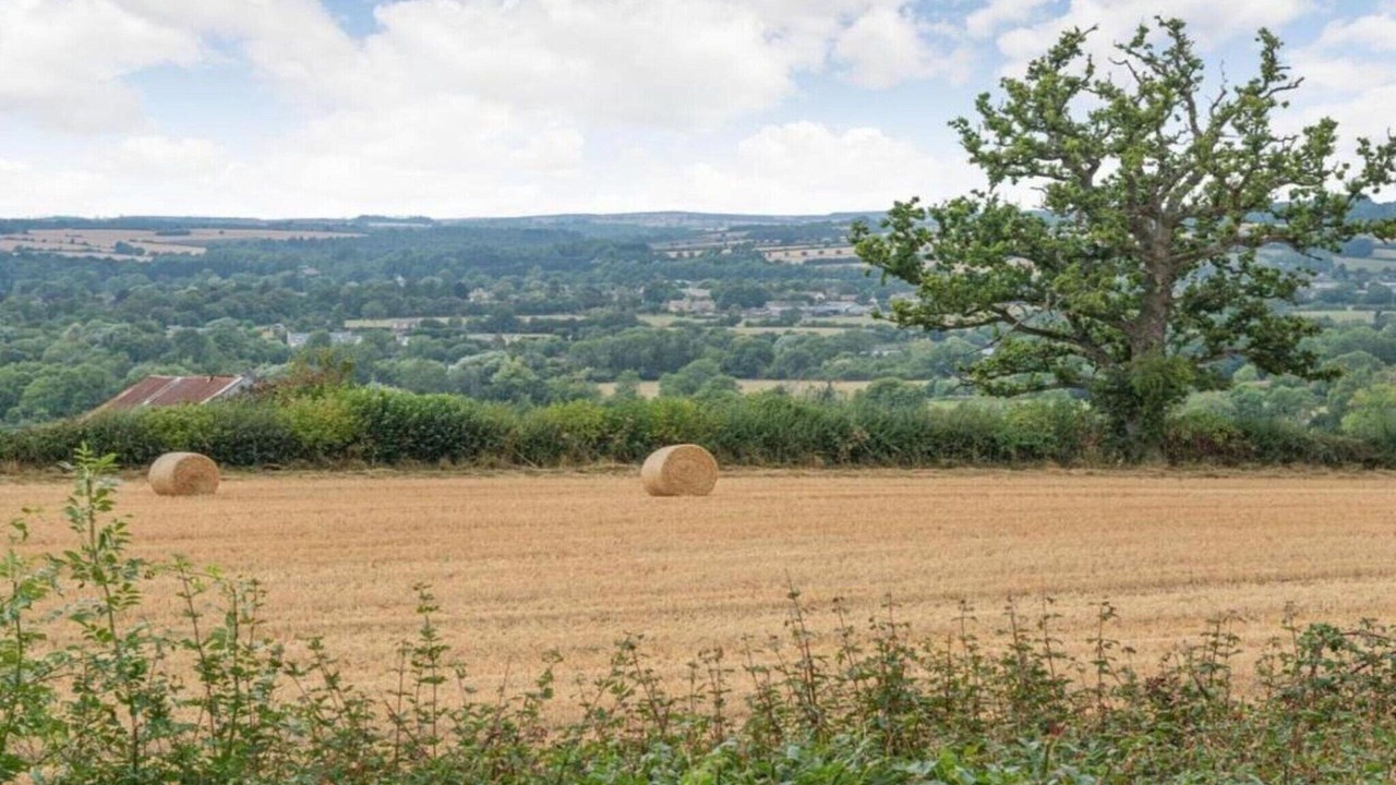 Photo of Others in Little Rissington