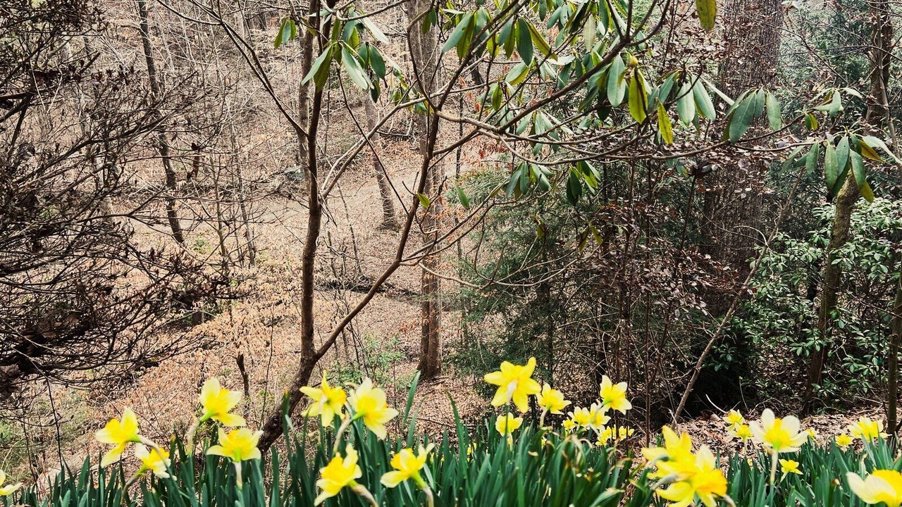 Photo of Outdoor in Hidden Lake