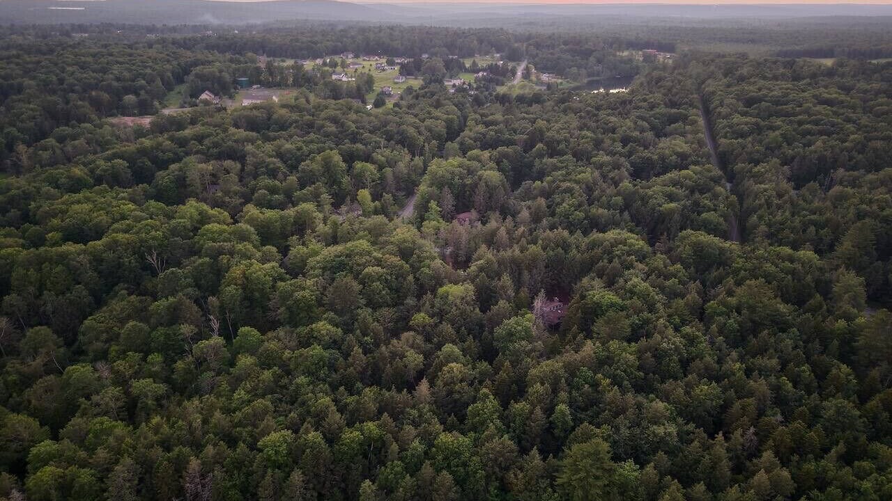 Photo of Outdoor in Blakeslee