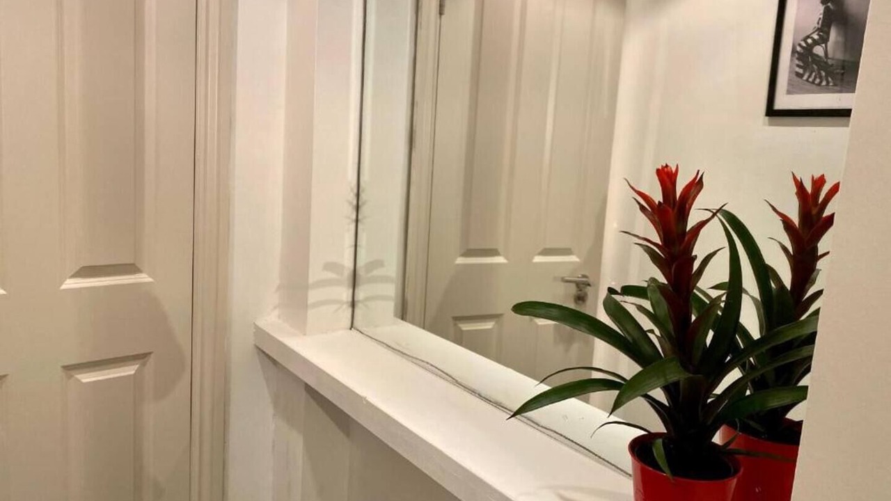 Photo of Others in Redcliffe