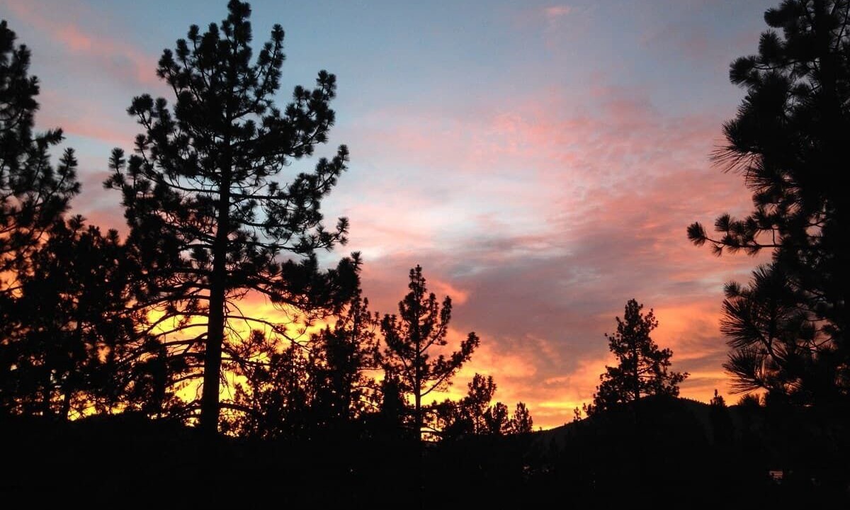 Photo of Others in Big Bear Lake