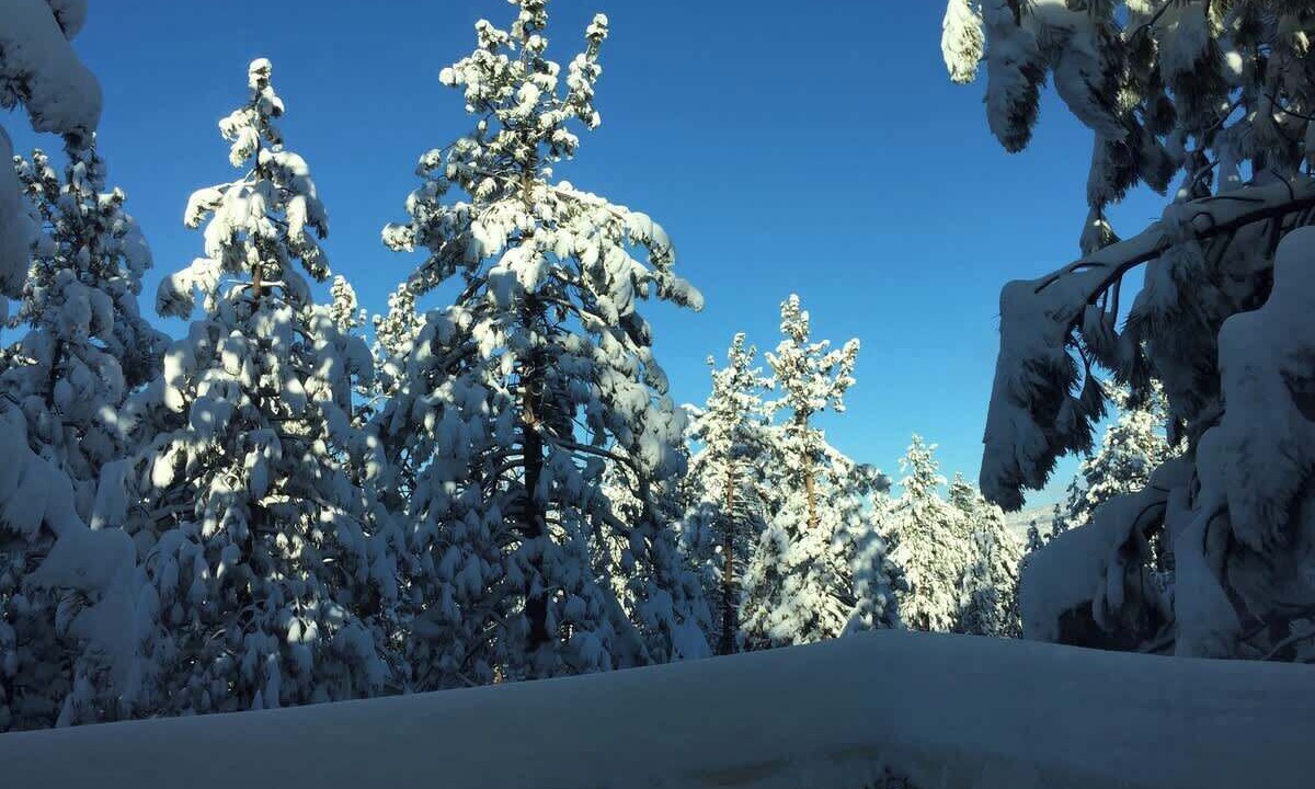 Photo of Others in Big Bear Lake